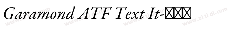 Garamond ATF Text It字体转换